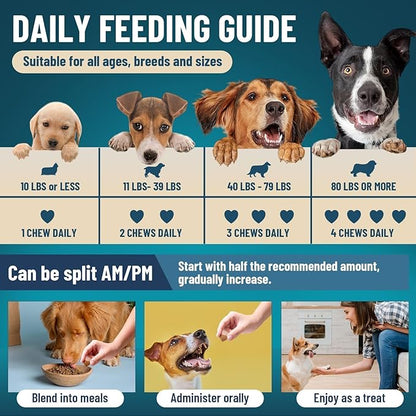 Dog Probiotics for Dogs, 200 Soft Probiotics Chews for Dogs Digestive Health Gut Health & Immune System, with 6 Probiotics & Digestive Enzymes, Support Itchy Skin, Constipation & Diarrhea Relief