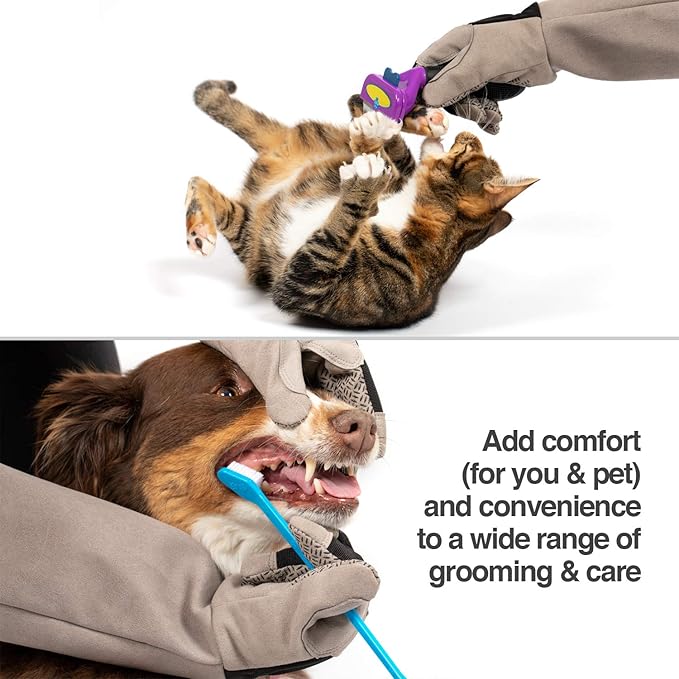 PetFusion Multipurpose Pet Grooming Gloves Great for Trips to Vet and Bathing, Puncture, Scratch & Water Resistant