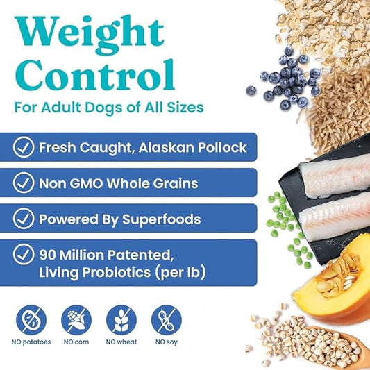 Solid Gold Healthy Weight Management Dry Dog Food for Adult & Senior Dogs - With Pollock, Whole Grain & Probiotics for Gut Health & Digestion Support - Dry Dog Food for Weight Management Support – 4LB