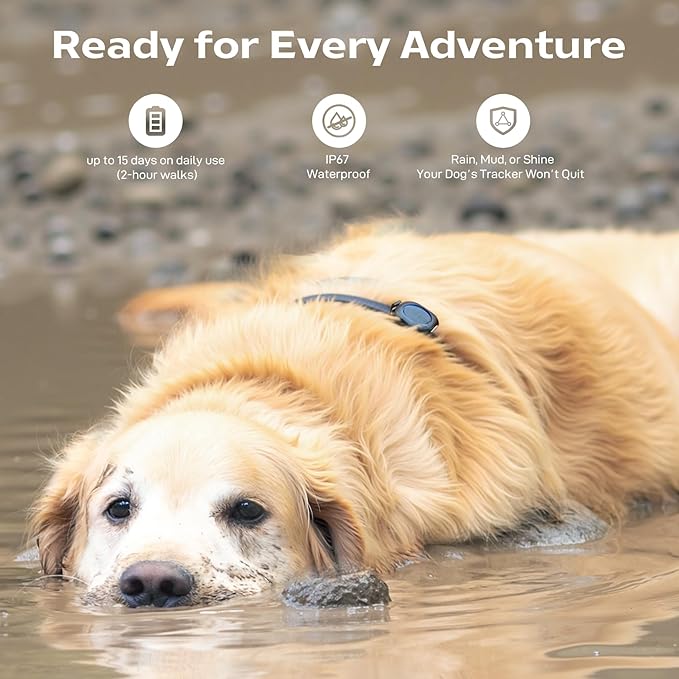 Aorkuler GPS Dog Tracker – No Phone, No Signal, No Subscription | Real-Time Direction & Distance Up to 3.5 Miles | Built for Hiking, Farms & Off-Grid Adventures (Tracker 2)