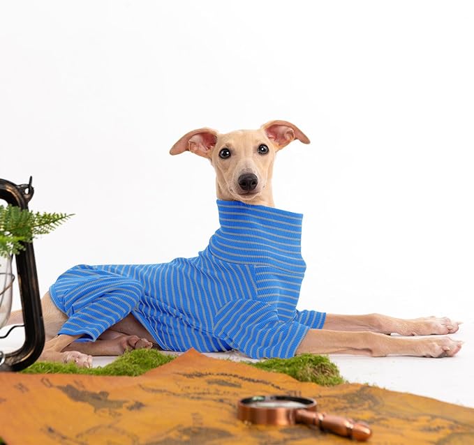 Dog Sweaters for Small Dogs Girls Boys, Striped Pet Sweaters for Fall Winter Dog Clothes, Turtleneck Pullover Knitwear for Small Medium Large Dogs