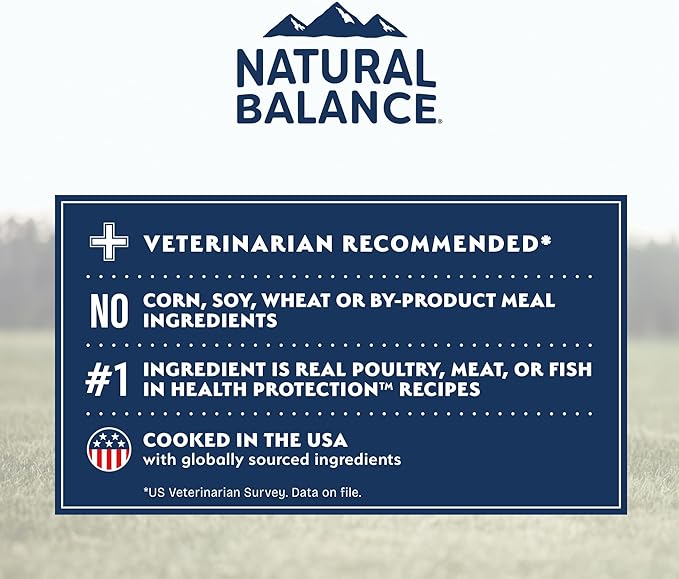 Natural Balance Health Protection Dry Dog Food – Whole Body Health, Easy on Digestion Dog Food Made with Salmon, Brown Rice & Pumpkin for Dogs - 4lbs.