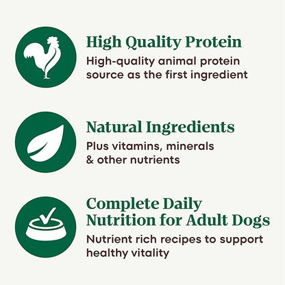 Nutro Adult Wet Dog Food, Natural Grain Free Dog Food Wet Cuts in Gravy Simmered Beef & Potato Stew Recipe, 3.5 oz. Trays (Pack of 24)