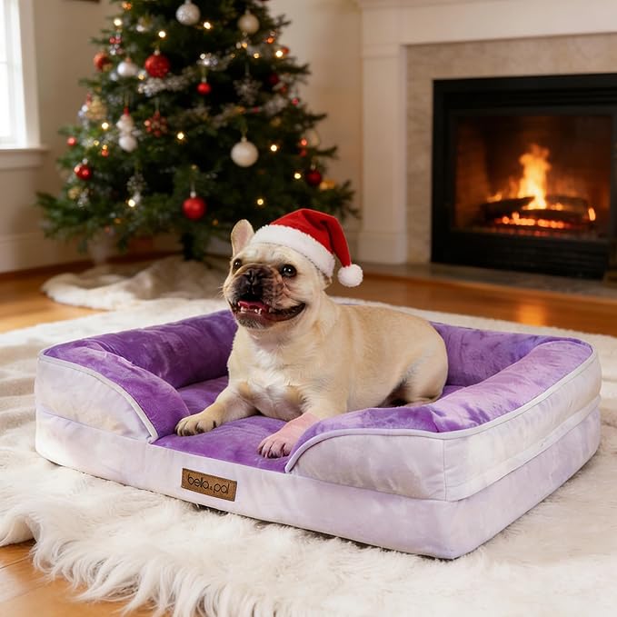 BELLA & PAL Orthopedic Dog Sofa Bed for Medium/Large Dogs – No Assembly Needed, Egg-Crate Foam Dog Couch with Waterproof Liner, Washable Removable Cover, Non-Slip, 28x23x6.5Inch, Purple