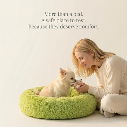 Calming Donut Dogs Beds for Small Dogs Washable,19inch Fluffy Round Puppy Bed for Puppies,Cats & Toy Breeds with Raised Rim,Fits up to 15 lbs Pets,Green