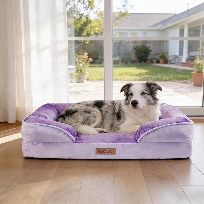 BELLA & PAL Orthopedic Dog Sofa Bed for Medium/Large Dogs – No Assembly Needed, Egg-Crate Foam Dog Couch with Waterproof Liner, Washable Removable Cover, Non-Slip, 36x27x6.5Inch, Purple