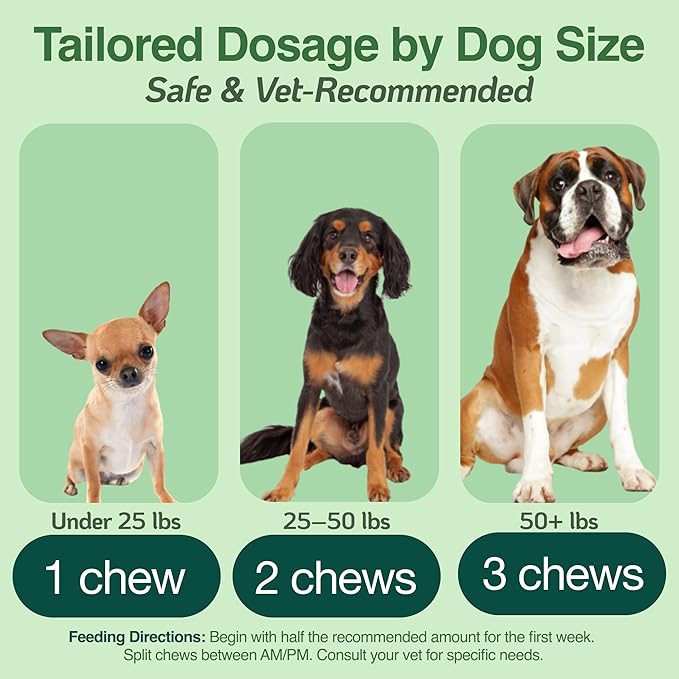 BAZI Allergy Relief Dog Chews – Quercetin, Turmeric, Ashwagandha, Probiotics & Colostrum – Seasonal Allergy, Immune & Digestive Support – for Itchy Skin & Hot Spots – All Breeds & Sizes