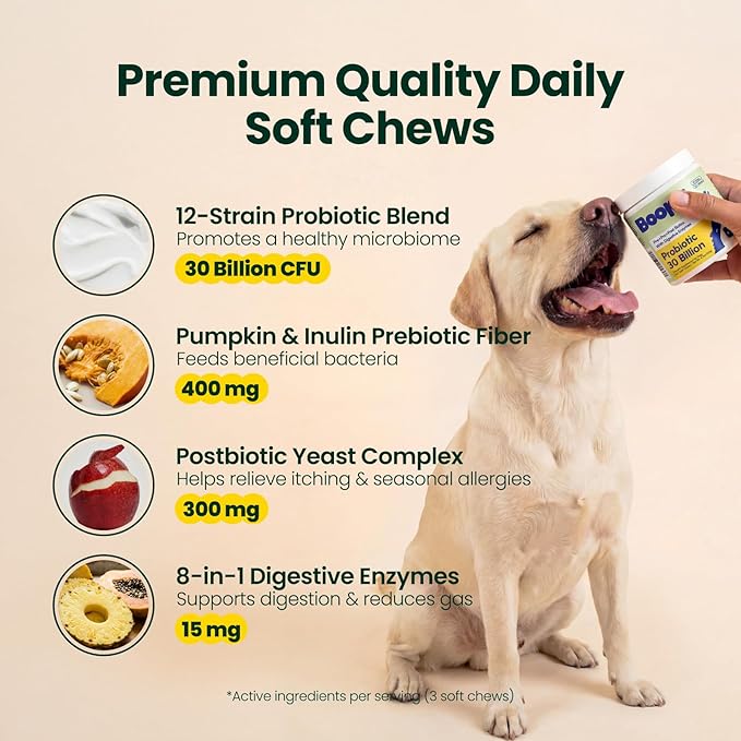 Probiotics for Dogs – 30 Billion CFU with Pre, Postbiotics & Digestive Enzymes – Supports Gut Health, Immunity, Loose Stools & Allergies – Filet Mignon Flavor – Vet Formulated – 60 Chews