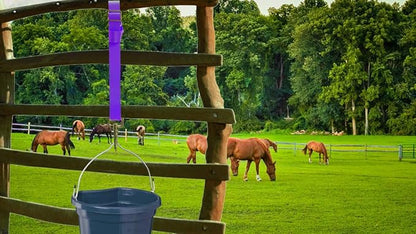 Adjustable Nylon Bucket Strap （3 Pack）- for Hay Nets, Water Buckets, Hanging Strap,Horse Outdoor Feeders,Heavy Duty Horse Water Feed, 30" (Purple)