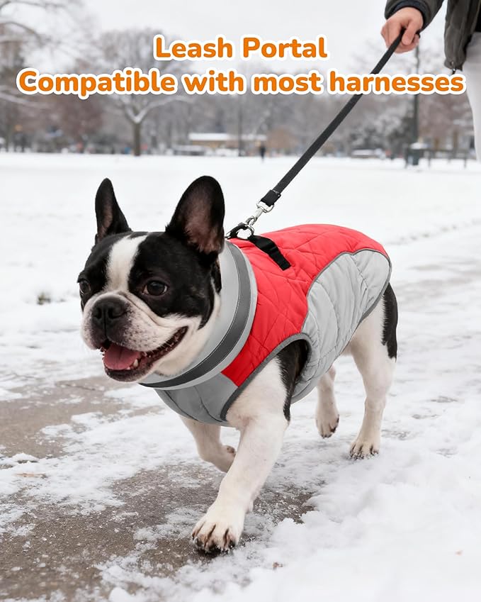 Dog Winter Coat for Small Dogs, Adjustable Puppy Warm Jackets in Cold Weather, Reflective Pet Fleece Vest with External Attachment Points, Zippered Cold-Weather Dog Winter Clothes, S Red