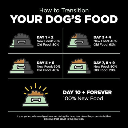 Go! Solutions Skin + Coat Care Turkey Dry Dog Food with Grains, Chicken-Free, Healthy Kibble with Omega-3s & 6s for Soft, Shiny Fur, for Puppies, Adults, & Seniors, 22 lb Bag