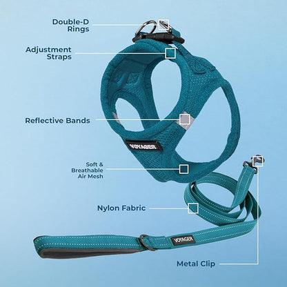 Best Pet Supplies Voyager Step-in Air All Weather Mesh Harness and Reflective Dog 5ft Leash Combo with Neoprene Handle, for Small, Medium and Large Breed Puppies - Set (Turquoise), X-Large