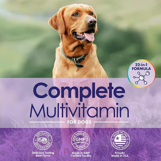 Dog Multivitamin Chewable - 22 in 1 Dog Vitamins and Supplements with Green Lipped Mussel & Omega 3 for Joints, Skin & Coat, Immune System - Senior & Puppy Multivitamin for Dogs - 60 Beef Chews