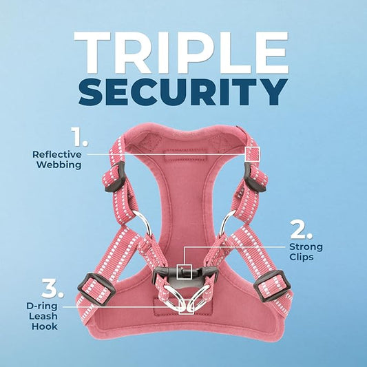Best Pet Supplies Voyager Adjustable Step-in Flex Breathable Mesh Dog Harness for Small Medium Large Dogs Leash Set (Pink), L
