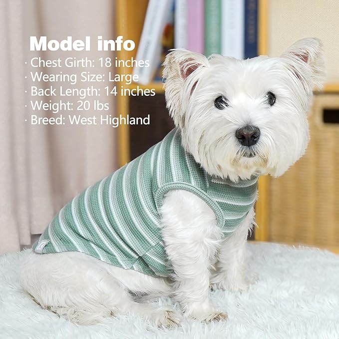 KYEESE 2Pack Waffle Dog Shirts, Lightweight Sleeveless Dog T Shirts for Small Medium Dogs Boy Girl, Breathable Pet Vest Comfortable Tank Top Soft Dogs Clothes for Daily Wear, Green+Striped, XL
