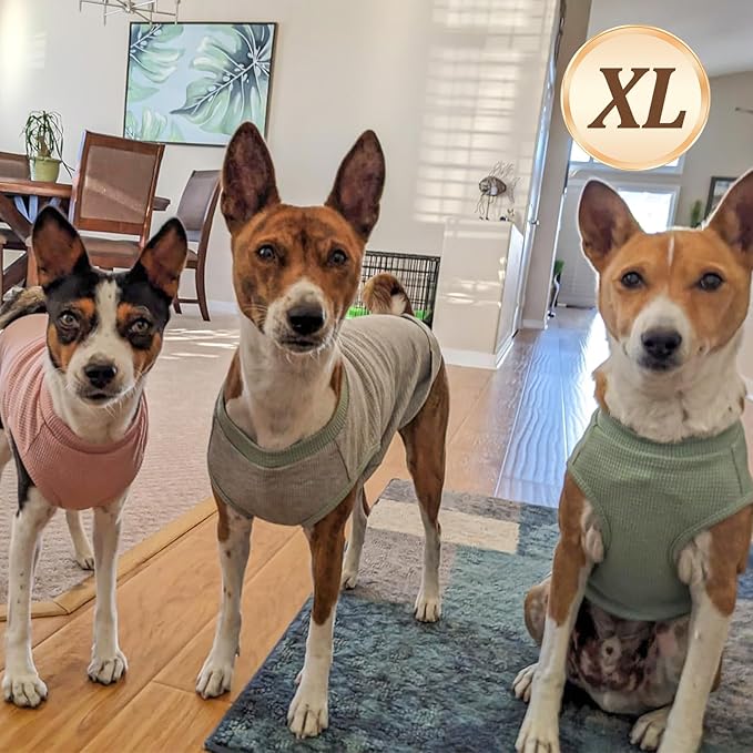 KYEESE 2Pack Waffle Dog Shirts, Lightweight Sleeveless Dog T Shirts for Small Medium Dogs Girl, Breathable Pet Vest Comfort Tank Top Soft Dogs Clothes for Daily Wear, Pink+Grey, XL