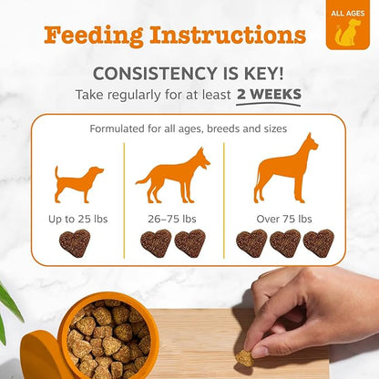 Zesty Paws Ancient Elements Allergy Immune Bites - Dog Allergy Chews, Dog Probiotics for Itchy Skin and Ears, Bison, 90ct