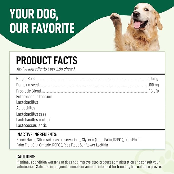 Probiotics for Dogs 120 Chews - Digestive Enzymes & Gut Health Support with Pumpkin Seed, Ginger Root – Dog Probiotics for Diarrhea, Bowel & Immune Support - Bacon Flavor, Soft Chews