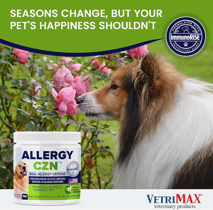 Allergy CZN - Itch and Allergy Chew for Dogs, Seasonal Allergies Anti Itch Dog Chewables with ImmunoRise Blend, 3 oz/120 Count