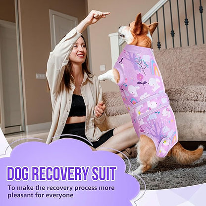 Lukovee Recovery Suit for Dogs, Zipper On Dog Surgery Suit for Female Male Dog, Onesies Bodysuit Prevent Licking Spay Abdominal Wounds Bandages E-Collar Alternative (Purple, M)