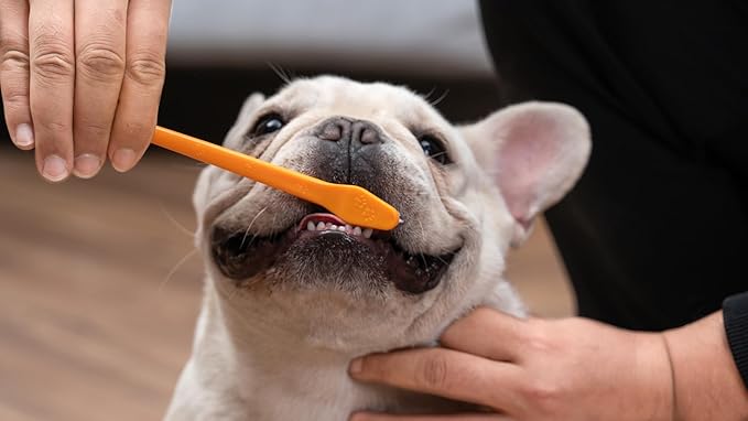 Arm & Hammer Complete Care Dog Dental Kit with Two Flavors: Chicken & Peanut Butter Enzymatic Dog Toothpaste, Toothbrush, & Finger Brush, Baking Soda + Calcium, 2.5oz Each
