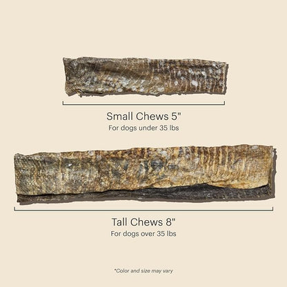 The Honest Kitchen Human Grade Ocean Chews Crispy Cod Fish Skins Dog Treats, 5.5 Ounces