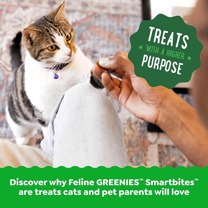 Greenies Feline Smartbites, Cat Treats Healthy Recipe, Indoor Cat Treats, Chicken Flavor, 2.1 oz. Pack