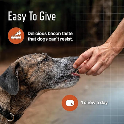 Virbac URSOLYX™ Soft Chews for Dogs | Muscle Health Support for Senior, Active or Recovering Dogs, Medium 30-60lbs | 60 Count 2- Month Supply