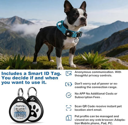 Tactical Dog Collar, Adjustable Military Training Nylon Dog Collar with Control Handle and Heavy Metal Buckle for Medium and Large Dogs, with Smart ID tag and Airtags Case (Blue,M)