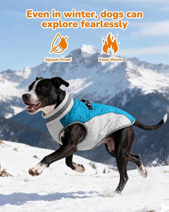 Dog Winter Coat for Small Dogs, Adjustable Puppy Warm Jackets in Cold Weather, Reflective Pet Fleece Vest with External Attachment Points, ZippeBlue Cold-Weather Dog Winter Clothes, S Blue