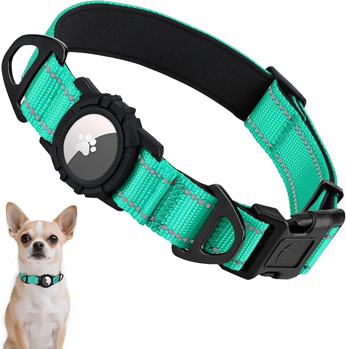 Taglory AirTag Dog Collar with Waterproof Holder for Puppy, Turquoise, XS | Reflective for Night Walks & Low-Light Safety, Track Your Pup Peace of Mind, Adjustable Soft Padded, No More Dangling Tags