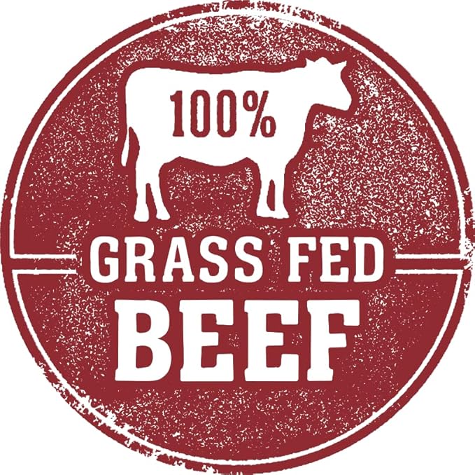 Fresh Is Best Beef Freeze Dried Dog Food – Raw Dog Food Toppers for Puppies & Adult Canines – High-Protein Freeze Dried Beef in Resealable Zipper Bag – Made in the USA – 16 oz