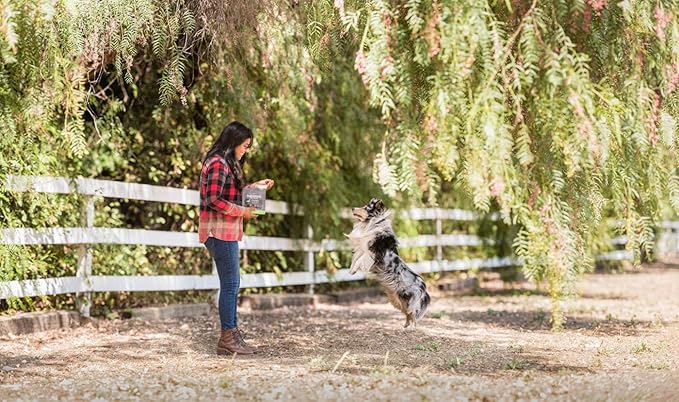 Blackwood Oven Baked Dog Treats, Duck with Apple, 8 Ounce Pouch, Training Treats for All Life Stages and Breed Sizes