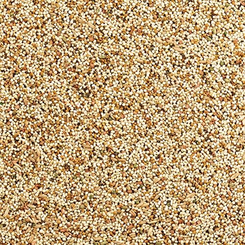 Wild Harvest Daily Blend Bird Food For Parakeet, Canary & Finch,10 lbs