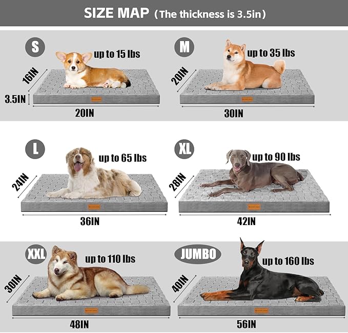Patas Lague Orthopedic Dog Bed Large Sized Dog 36''X24'', Waterproof Soft Comfortable Egg Crate Foam Large Pet Beds Crate Mat with Removable Washable Cover and Nonskid Bottom, Grey