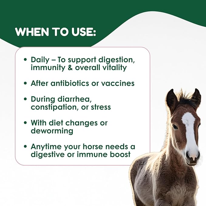 Horse Probiotic Paste – 8 Billion CFU Equine Probiotic with Prebiotics & Vitamins – Hindgut Health, Digestive Balance & Feed Efficiency Support – Pack of 2 / 80CC Each