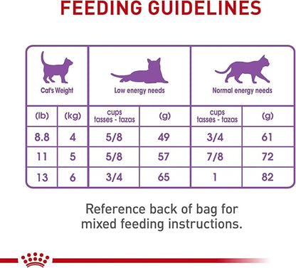 Royal Canin Feline Care Nutrition Appetite Control Care Adult Dry Cat Food, 6 lb Bag