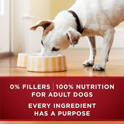 Purina ONE High Protein Wet Dog Food True Instinct Tender Cuts in Dog Food Gravy with Real Beef and Bison - 13 oz. Cans,(Pack of 24)