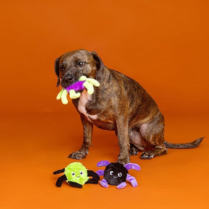 Fringe Studio Pet Toy, Webbed in Mischief Plush Dog Toy 3 PCS Set, PetShop Collection (662190)
