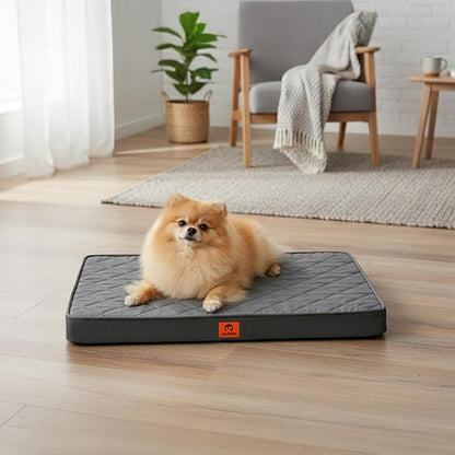 Cozy Dog Beds for Small Dogs - Orthopedic Egg Crate Foam Pet Bed with Removable/Washable/Waterproof Cover & Non-Slip Bottom, Ideal for Crate and Indoor Use, 23x17 Inch, up to 15 lbs, Dark Grey