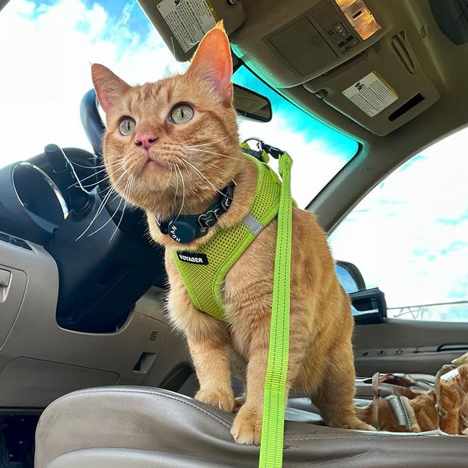 Best Pet Supplies Voyager Step-in Air All Weather Mesh Harness and Reflective Dog 5ft Leash Combo with Neoprene Handle, for Small, Medium and Large Breed Puppies - Set (Lime Green), X-Small