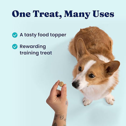 Solid Gold Freeze Dried Dog Food - W/Real Beef, Pumpkin & Superfoods - Freeze Dried Raw Dog Food Toppers for Picky Eaters to Serve as a Nutrient-Dense Meal Topper or High Protein Treats - 5.5oz