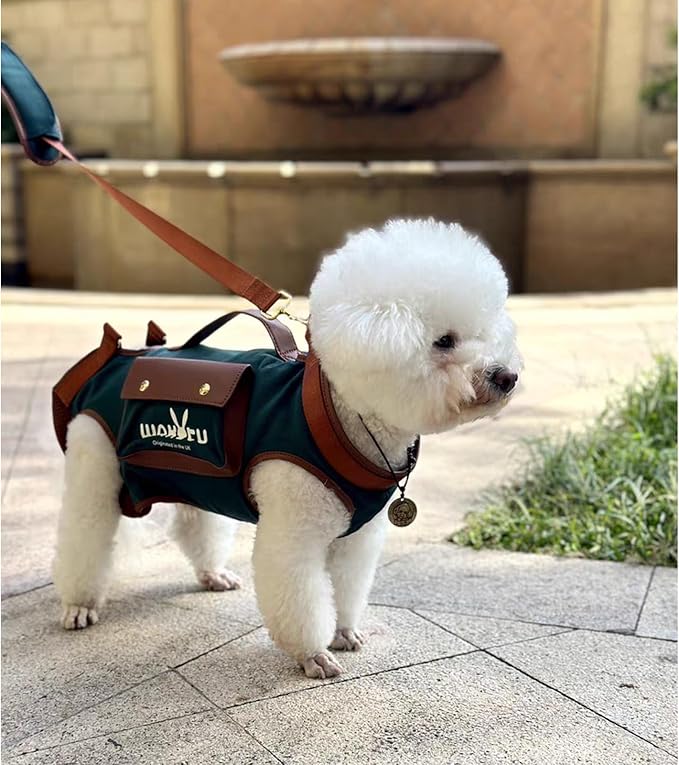 Wakytu Dog Lift Harness Dog Carrier Dog VES Harness Adjustable Dog Leash with Small Puppy Treat Bag（Green,M）