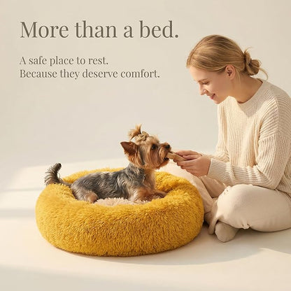 Calming Donut Dogs Beds for Small Dogs Washable,19inch Fluffy Round Puppy Bed for Puppies,Cats & Toy Breeds with Raised Rim,Fits up to 15 lbs Pets,Orange