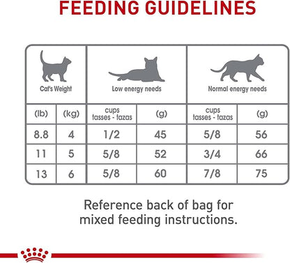 Royal Canin Feline Care Nutrition Dental Care Adult Dry Cat Food, 6 lb Bag