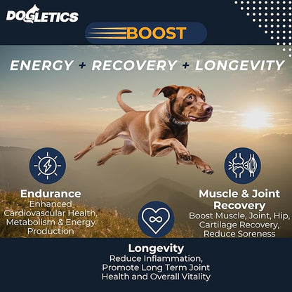 Boost Active Dog Support: Improve Energy, Endurance, Recovery & Longevity- 90ct USA Made with Real Bacon