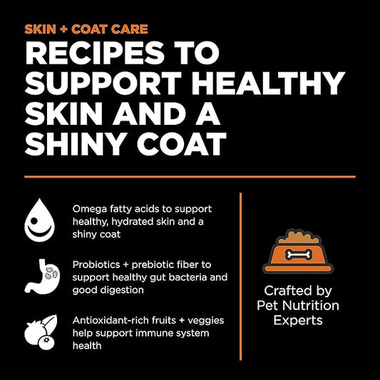Go! Solutions Skin + Coat Care Salmon Dry Dog Food with Grains, Chicken-Free, Healthy Kibble with Omega-3s & 6s for Soft, Shiny Fur, for Puppies, Adults, & Seniors, 3.5 lb Bag