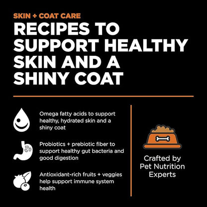 Go! Solutions Skin + Coat Care Salmon Dry Dog Food with Grains, Chicken-Free, Healthy Kibble with Omega-3s & 6s for Soft, Shiny Fur, for Puppies, Adults, & Seniors, 22 lb Bag