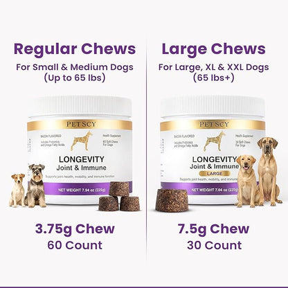 Petscy Longevity Hip & Joint + Immune Support Chews for Dogs - 3.75g Chew - High Dose Glucosamine, MSM, Chondroitin, Green Lipped Mussel, Omega 3, Probiotics - 60 Chews (Small & Medium Dogs)