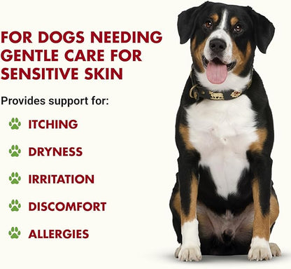 LIQUID-VET K9 Itch & Allergy Advanced Formula, Anti-Itch & Allergy Support with Omega-3s Fish Oil, MSM, Vitamin E, and Hyaluronic Acid - Dog Care Essentials for Dry, Sensitive Skin